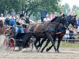 _DSC8050_web